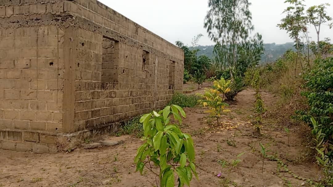 Parcelle à vendre - 400.00 m² - Mitendi, Kinshasa