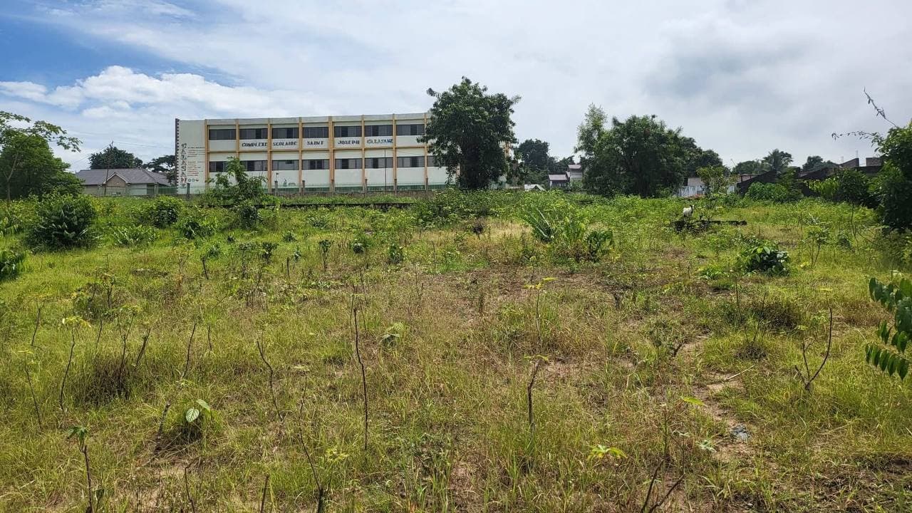 Terrain résidentiel à Ngaliema - Accès facile et viabilisé