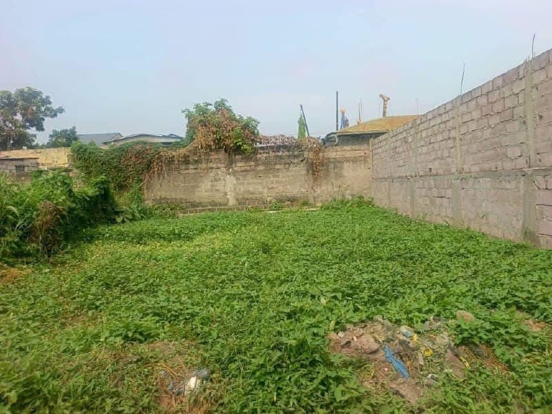 Terrain résidentiel à vendre à Limete, Boulevard Lumumba